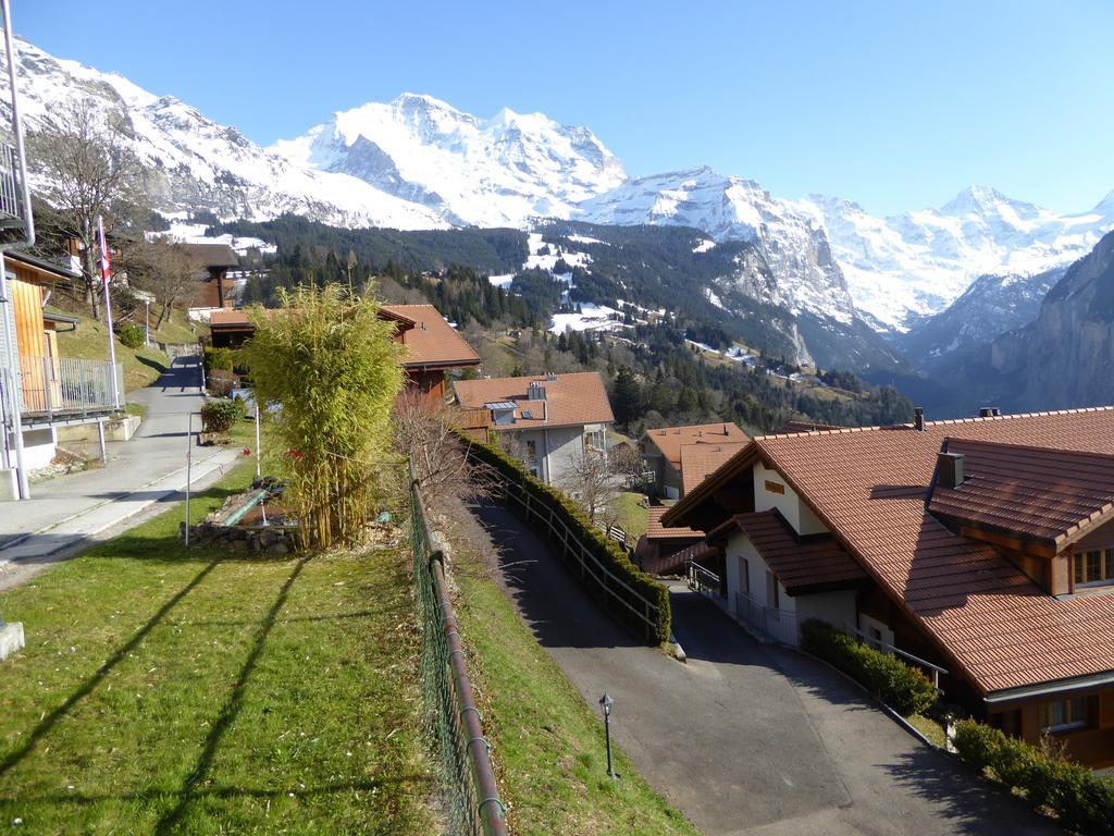 Chalet Gerbera Венген Номер фото