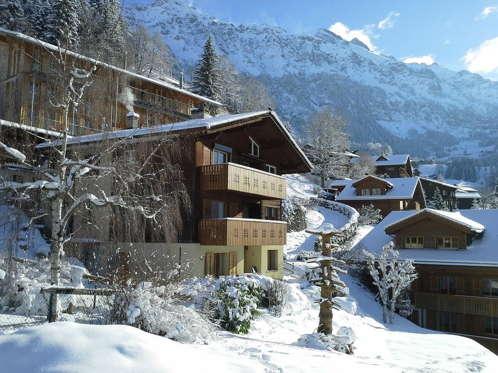 Chalet Gerbera Венген Номер фото